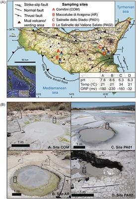 Variations in microbial community compositions and processes imposed under contrast geochemical contexts in Sicilian mud volcanoes, Italy